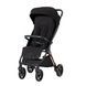 Прогулянкова коляска Espiro Flame 10 Timeless Black 5905683801331 фото 1