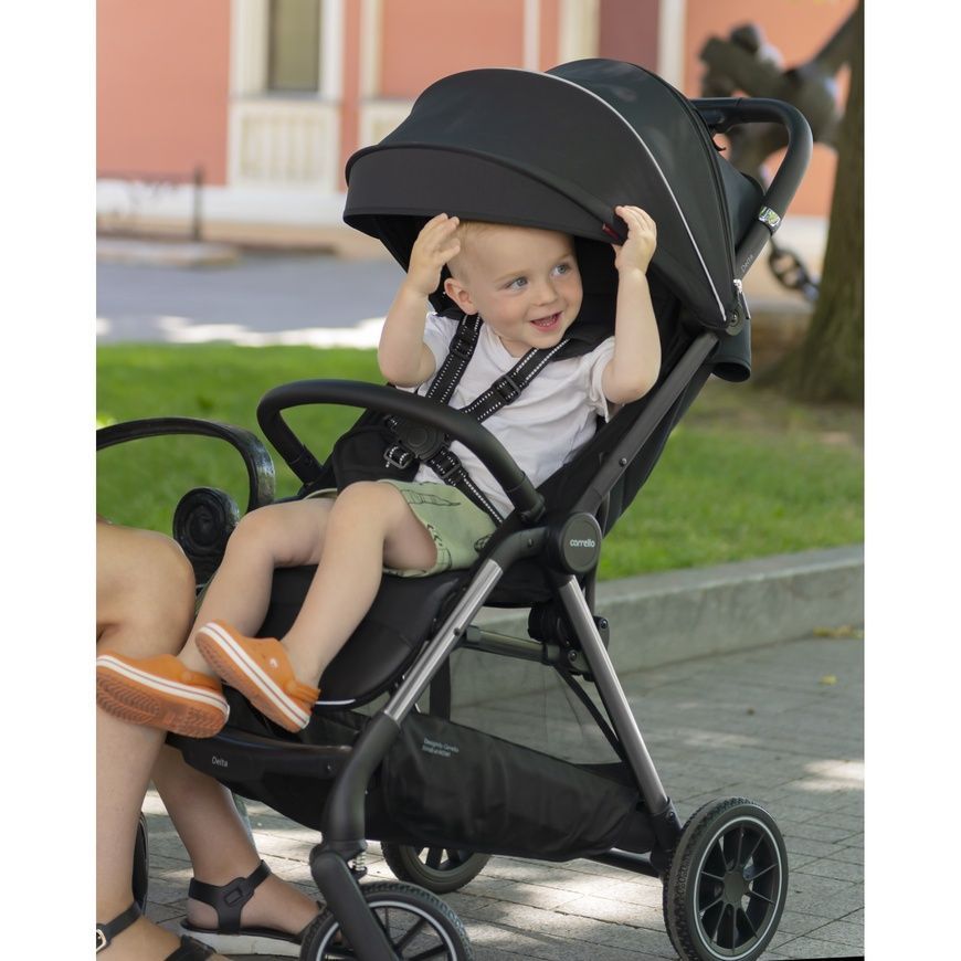 Прогулянкова коляска Carrello Delta CRL-5517 Coffee Black CRL-5517 Coffee Black фото