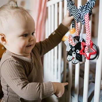 Іграшка - підвіска контрасна BabyOno, Мишеня та сир 797 фото