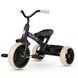 Триколісний велосипед Qplay Elite Pro Black T10-BEliteProBlack фото 2