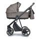 Roan Ivi Raisin Rum Alcantara Vintage Collection ECO R-IEVC-RR фото 1